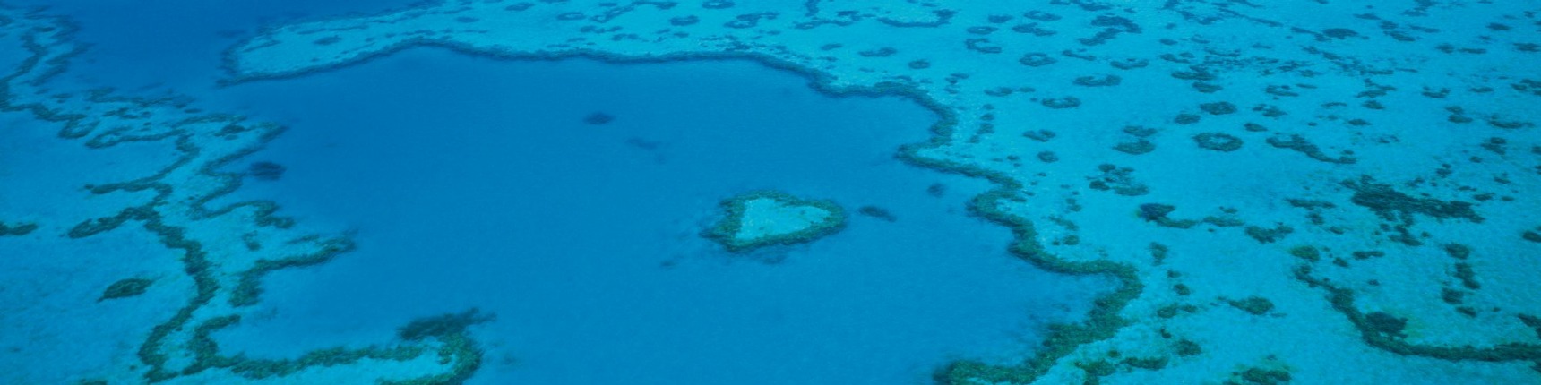 Whitsundays reef australia