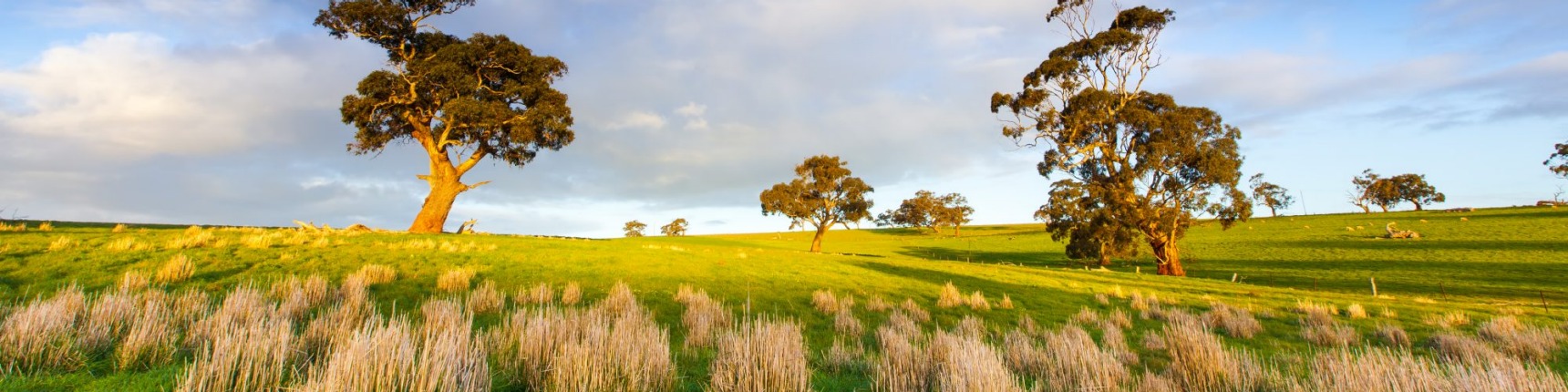 South Australia, countryside