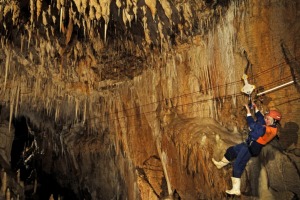 Waitomo Adventures started its ziplining operation six years ago.