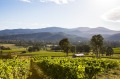 King Valley's wineries sit along what has become known as Prosecco Road.