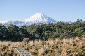 There are plenty of outdoor activities, with hikers heading out to walk the famed Tongariro Alpine Crossing, which winds ...