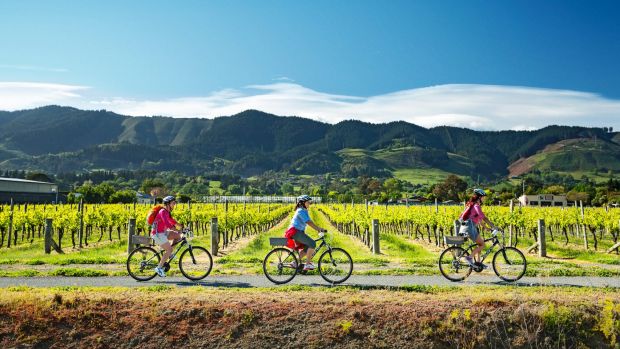 Cycling in Nelson, New Zealand.